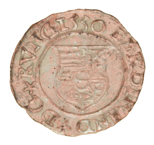 Denar 1555 Ferdynand I Habsburg Węgry