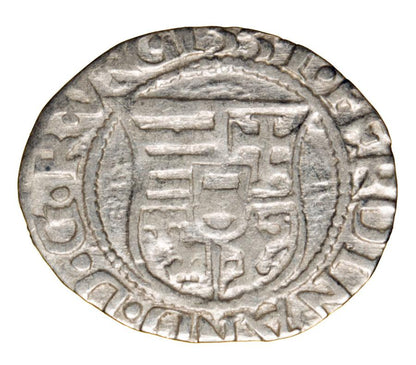 Denar 1551 Ferdynand I Habsburg Węgry Kremnica